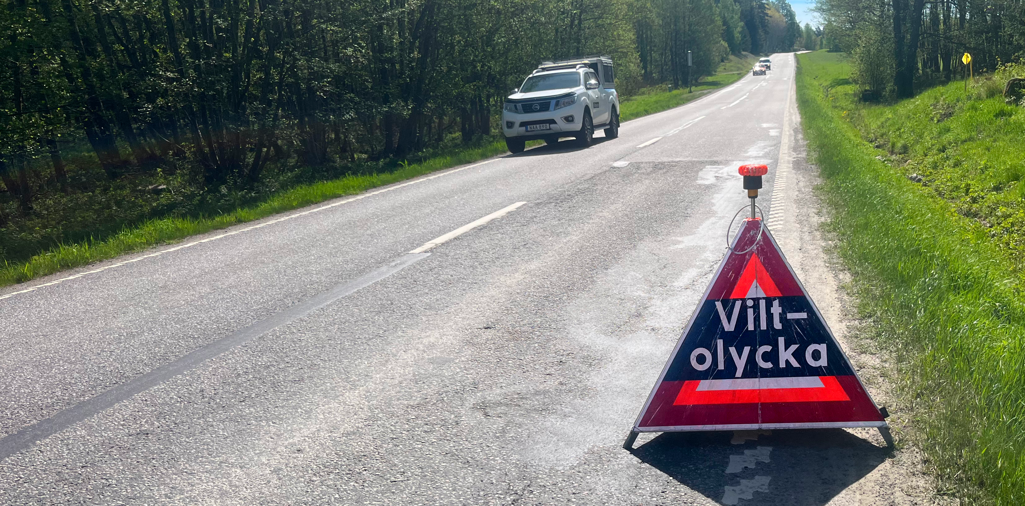 Viltolycka-skylt på svensk landsväg